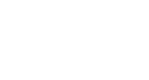 The National Trial Lawyers